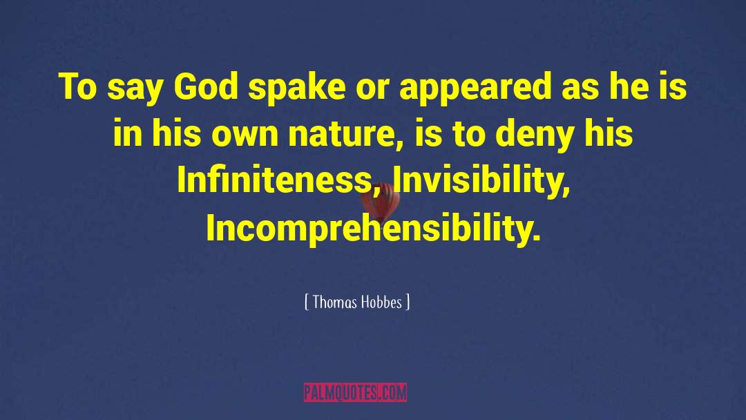 Incomprehensibility quotes by Thomas Hobbes