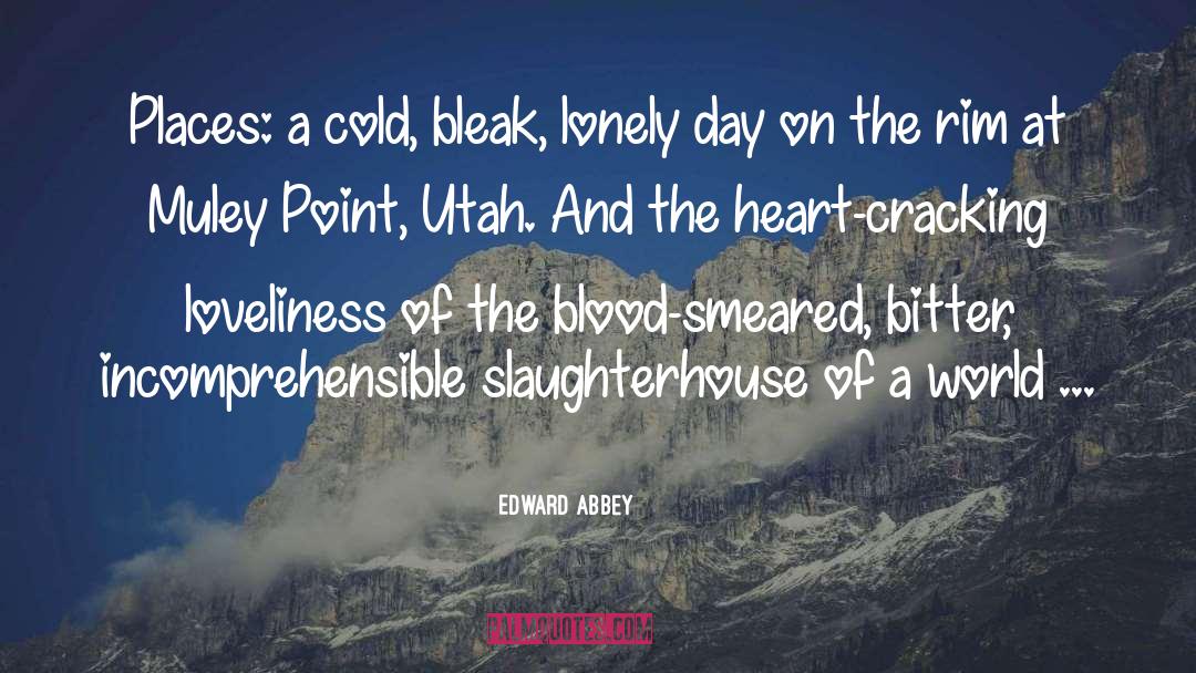 Incomprehensible quotes by Edward Abbey