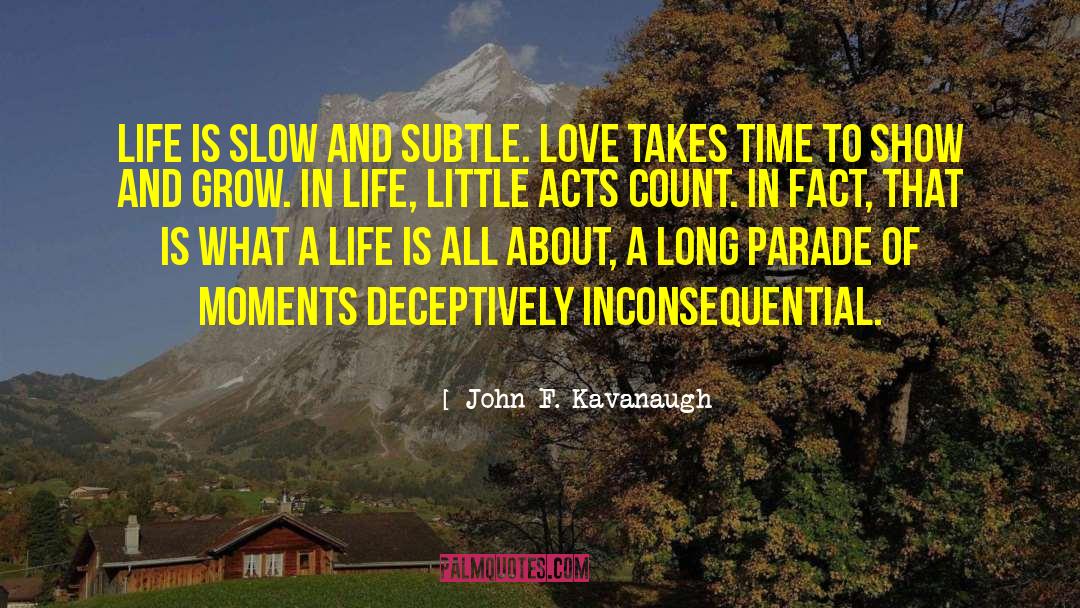 Inconsequential quotes by John F. Kavanaugh