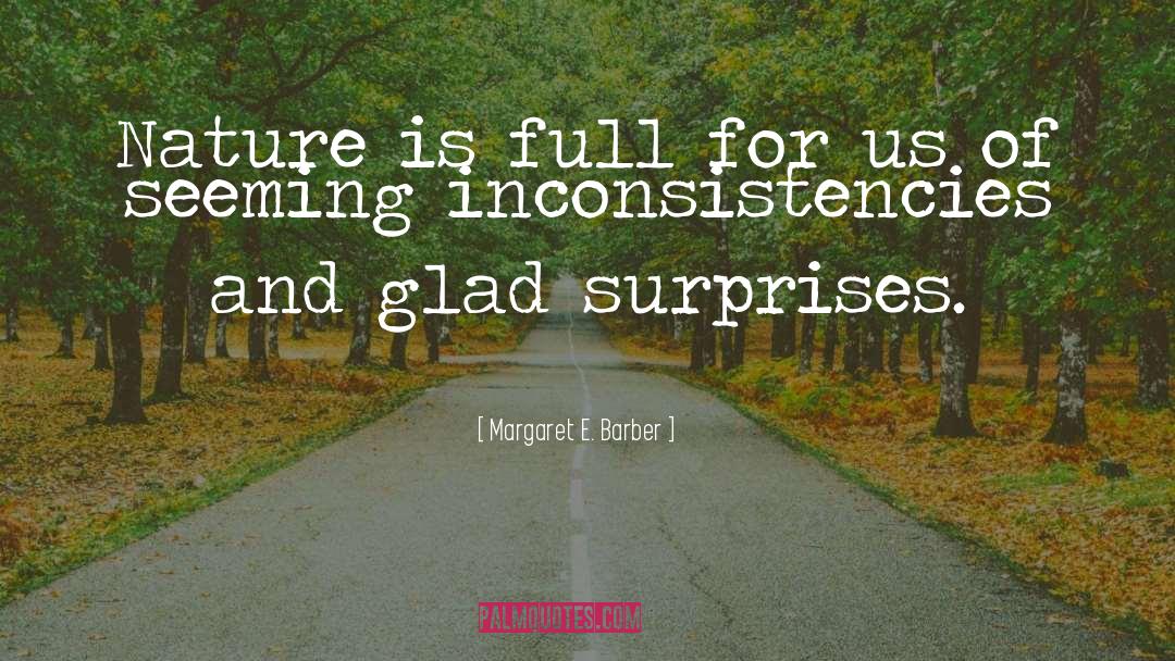 Inconsistencies quotes by Margaret E. Barber