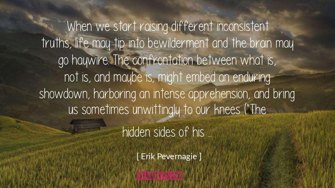 Inconsistent quotes by Erik Pevernagie