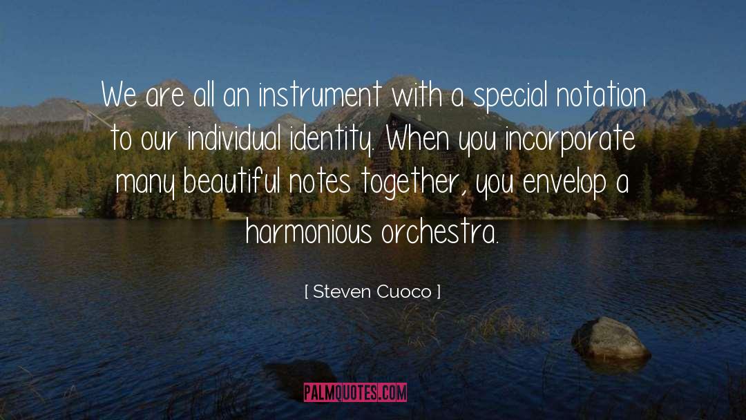 Incorporate quotes by Steven Cuoco