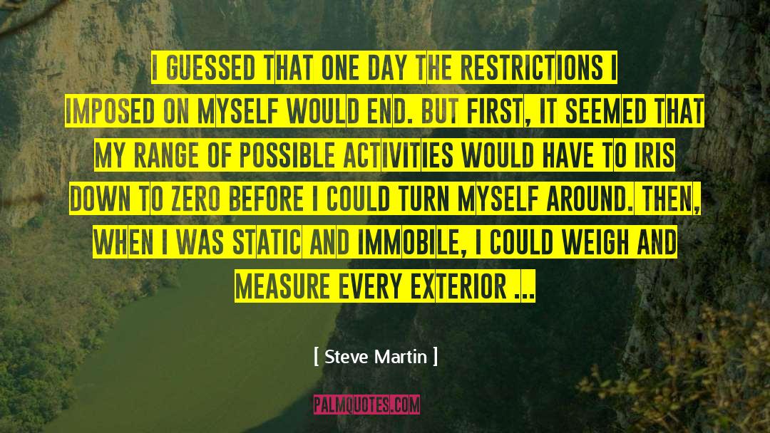 Incrementally quotes by Steve Martin