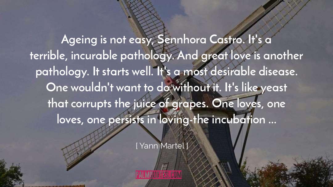 Incubation quotes by Yann Martel