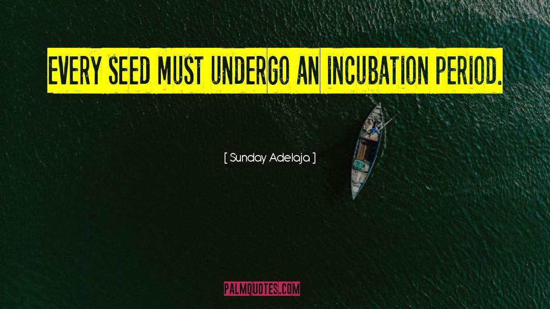 Incubation quotes by Sunday Adelaja