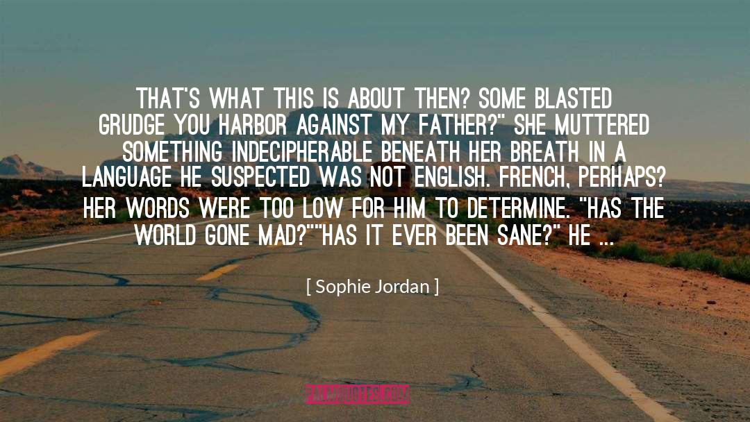 Indecipherable quotes by Sophie Jordan