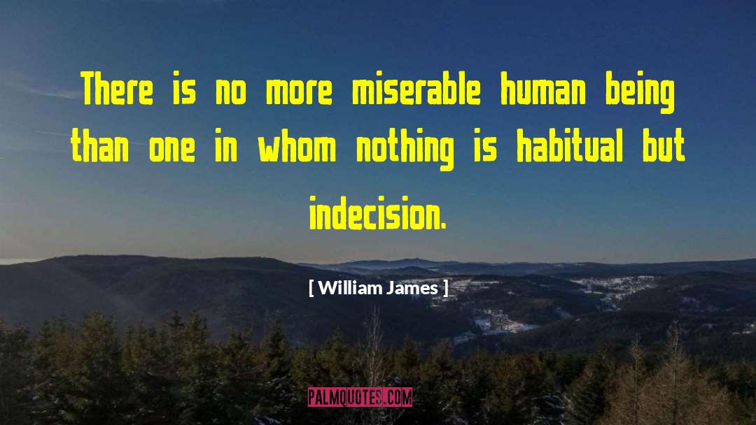 Indecisive quotes by William James