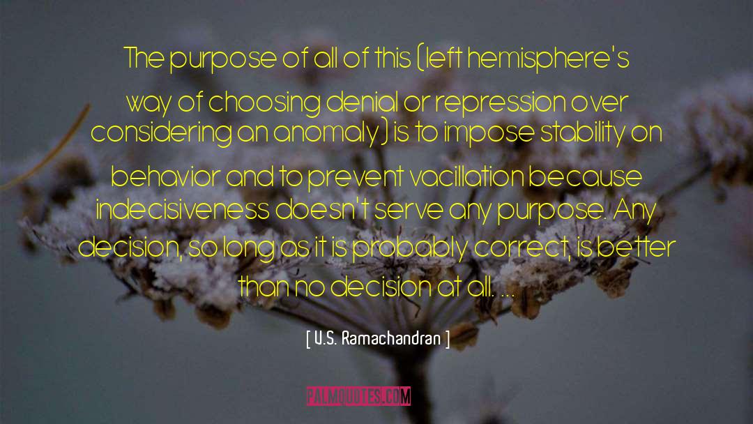 Indecisiveness quotes by V.S. Ramachandran