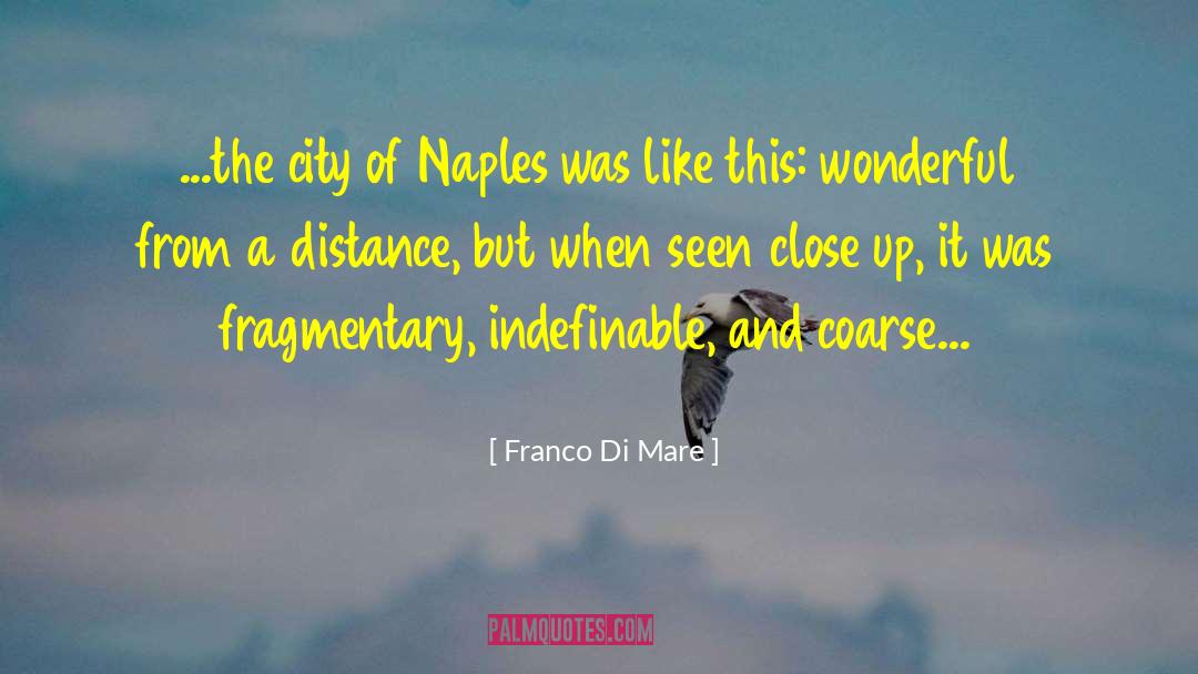 Indefinable quotes by Franco Di Mare