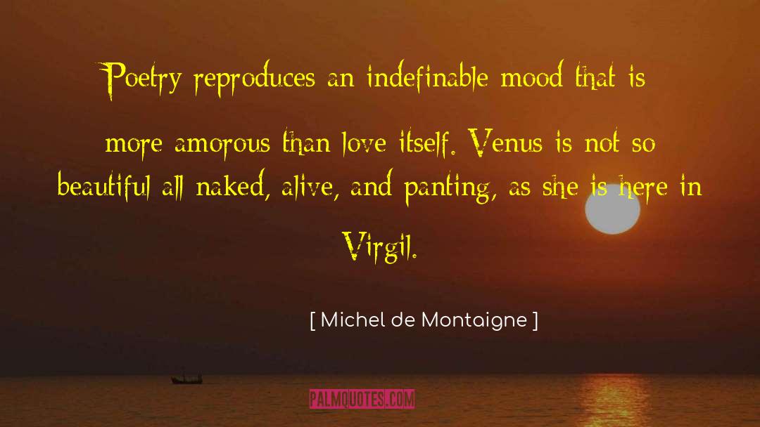 Indefinable quotes by Michel De Montaigne