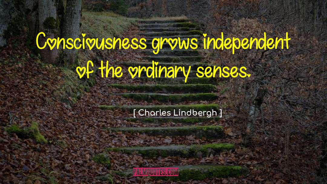 Independent Booksellers quotes by Charles Lindbergh