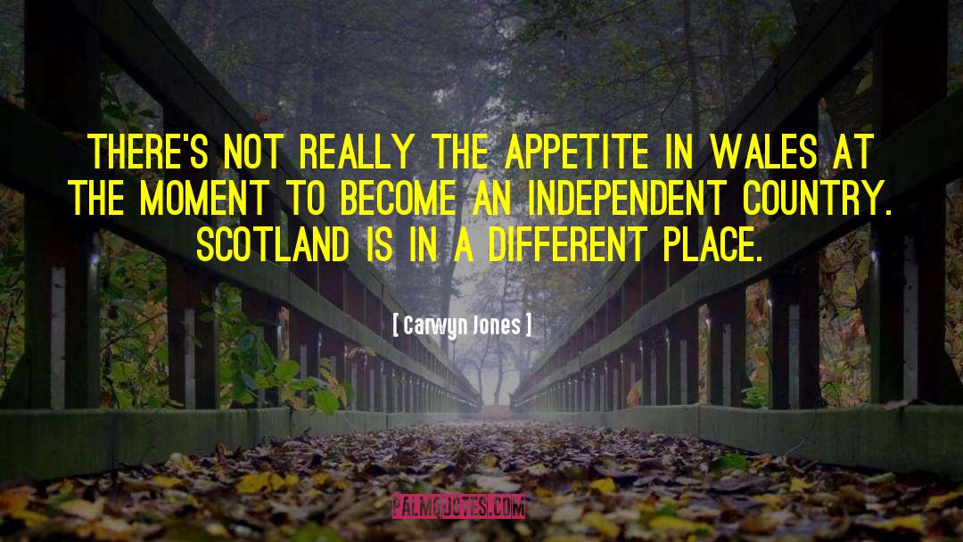 Independent Country quotes by Carwyn Jones
