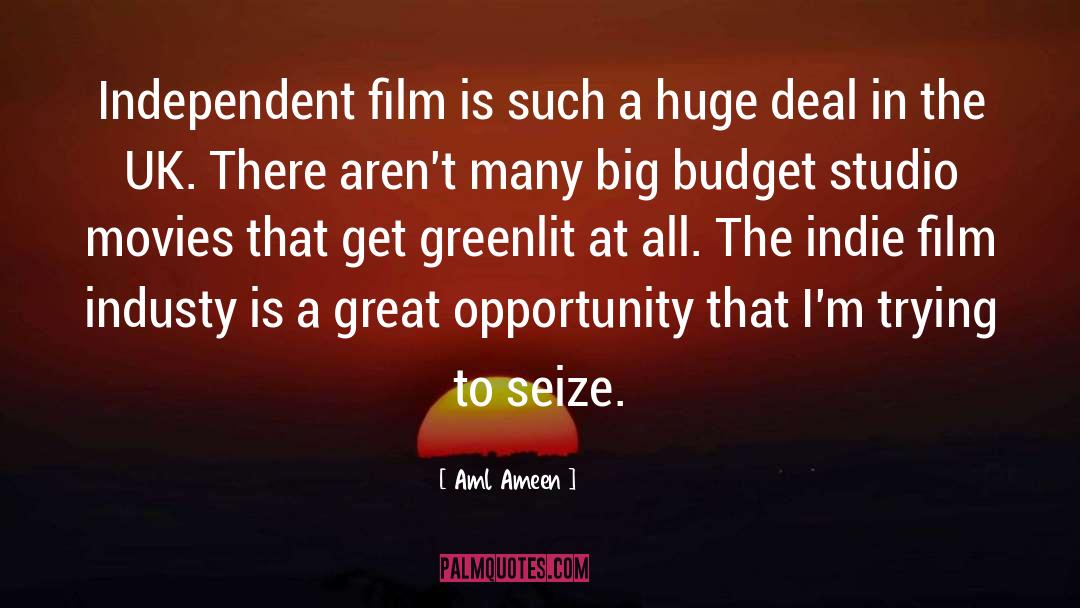 Independent Film quotes by Aml Ameen