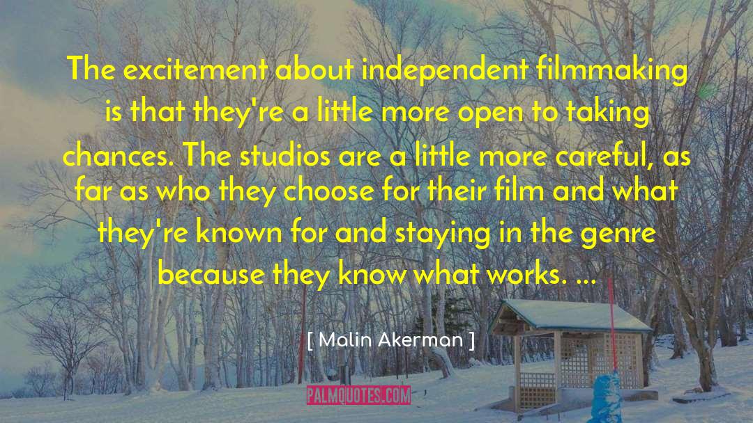 Independent Filmmaking quotes by Malin Akerman
