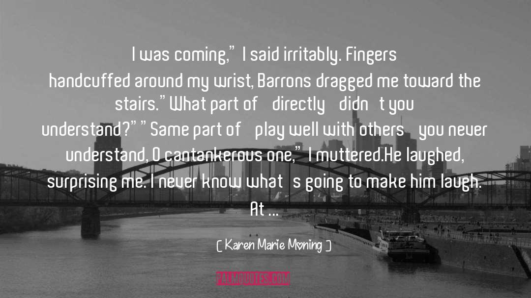 Indescribable Feelings quotes by Karen Marie Moning