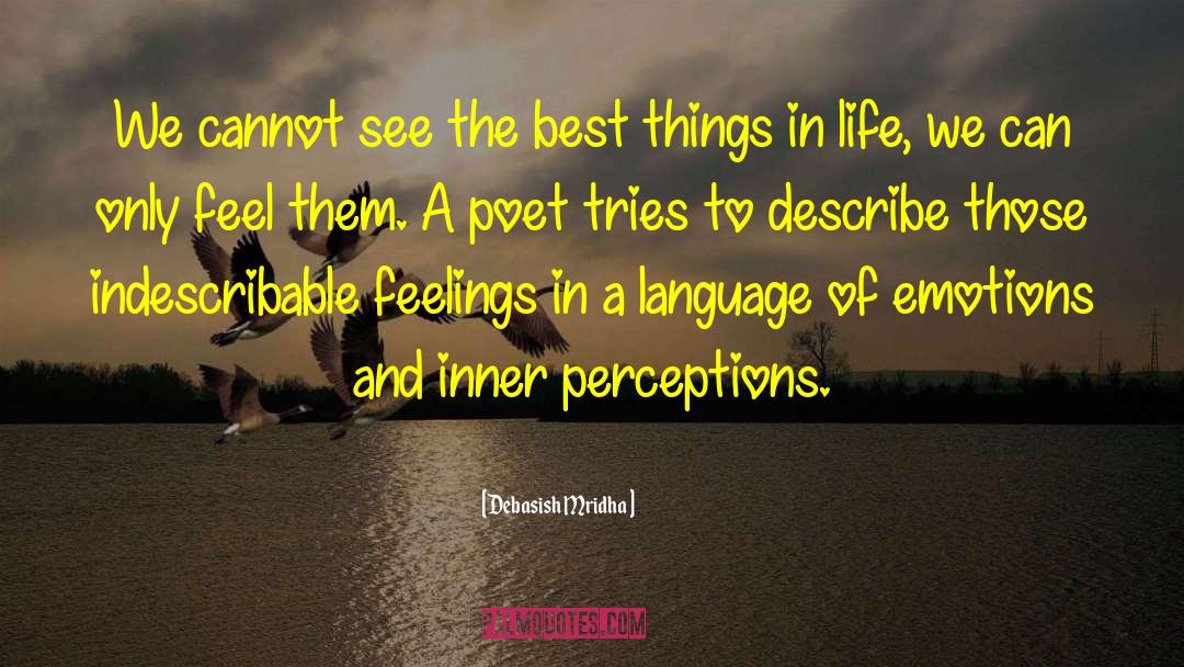 Indescribable Feelings quotes by Debasish Mridha