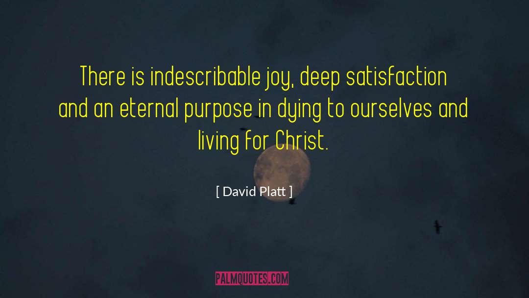 Indescribable Joy quotes by David Platt