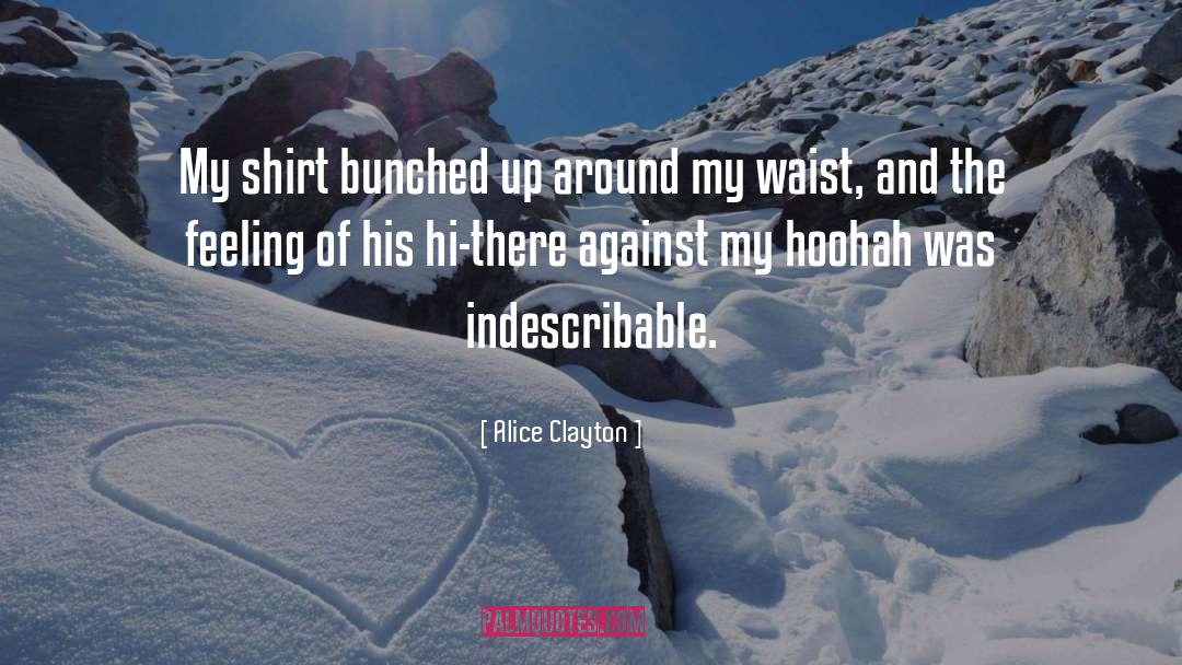 Indescribable quotes by Alice Clayton