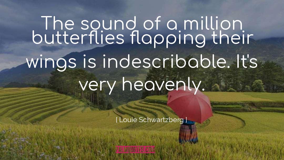 Indescribable quotes by Louie Schwartzberg