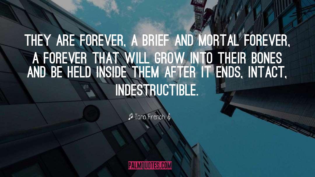 Indestructible quotes by Tana French
