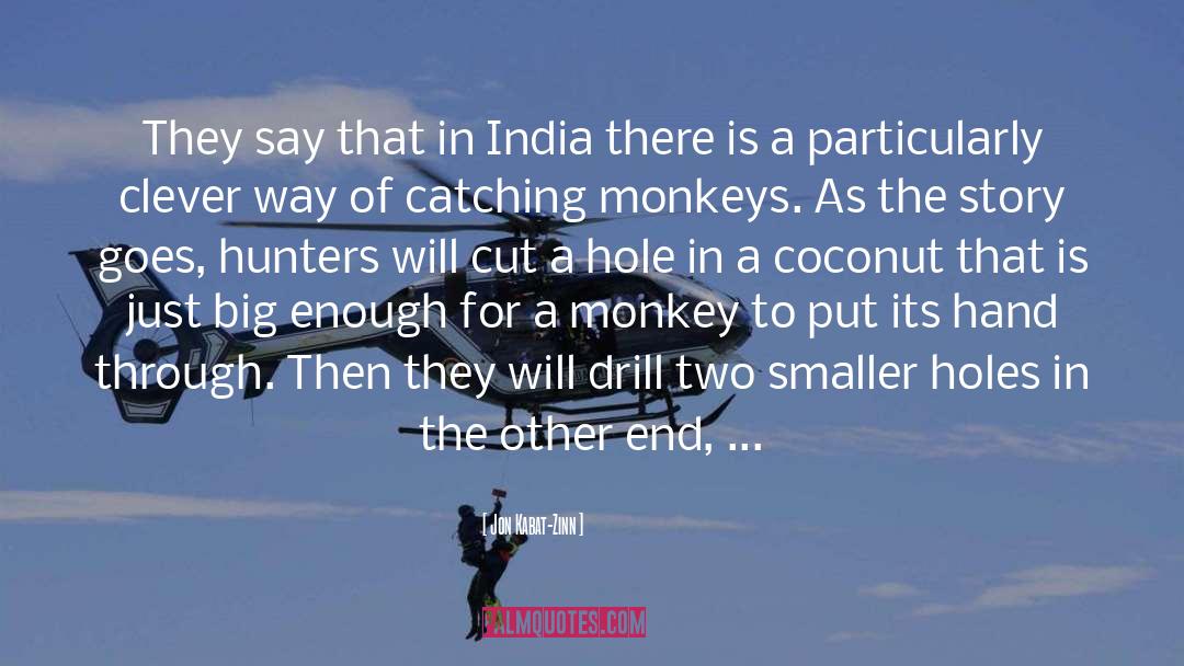 India Icai quotes by Jon Kabat-Zinn