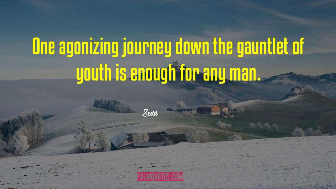 India Youth quotes by Zedd