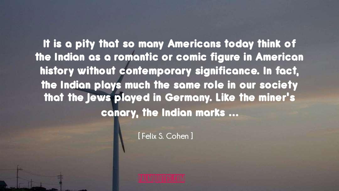 Indian Author quotes by Felix S. Cohen