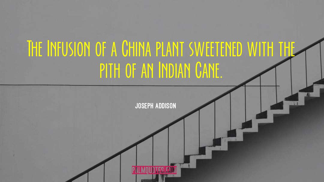 Indian Cooking quotes by Joseph Addison