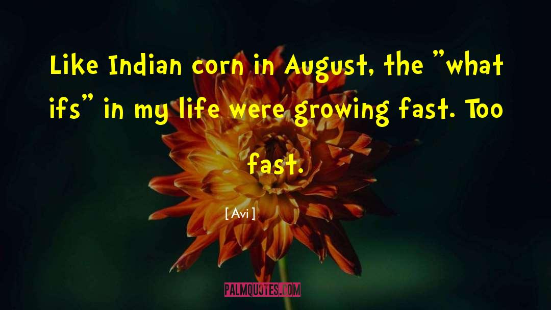 Indian Corn quotes by Avi