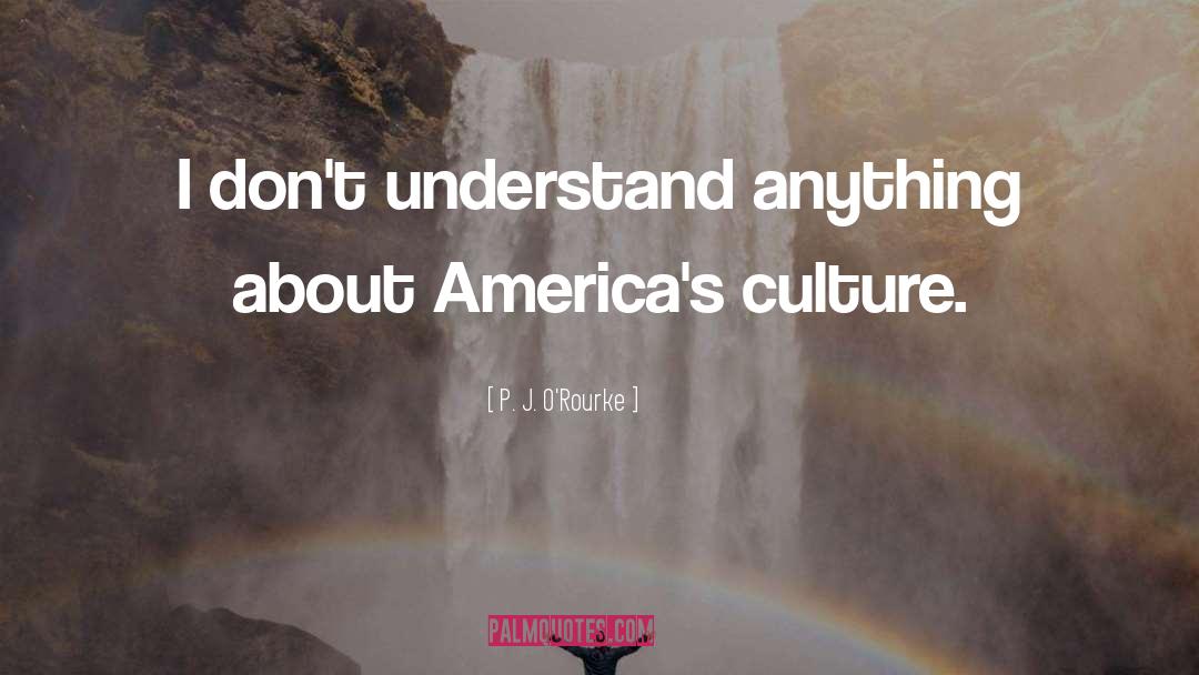 Indian Culture quotes by P. J. O'Rourke