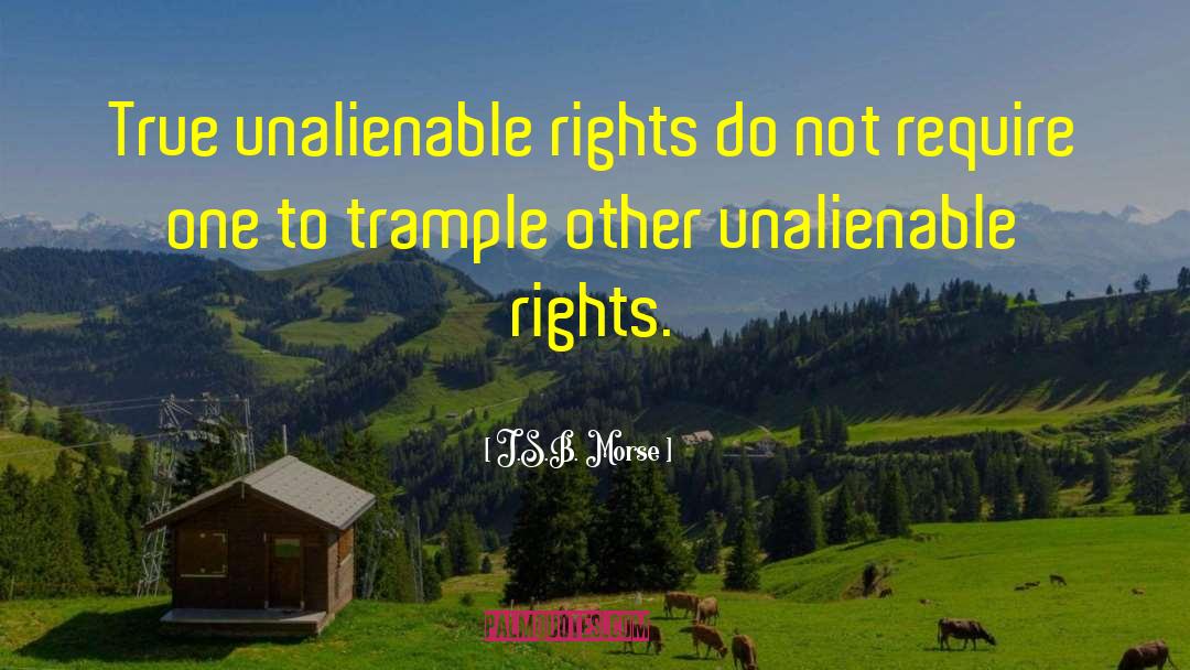 Indian Fundamental Rights quotes by J.S.B. Morse