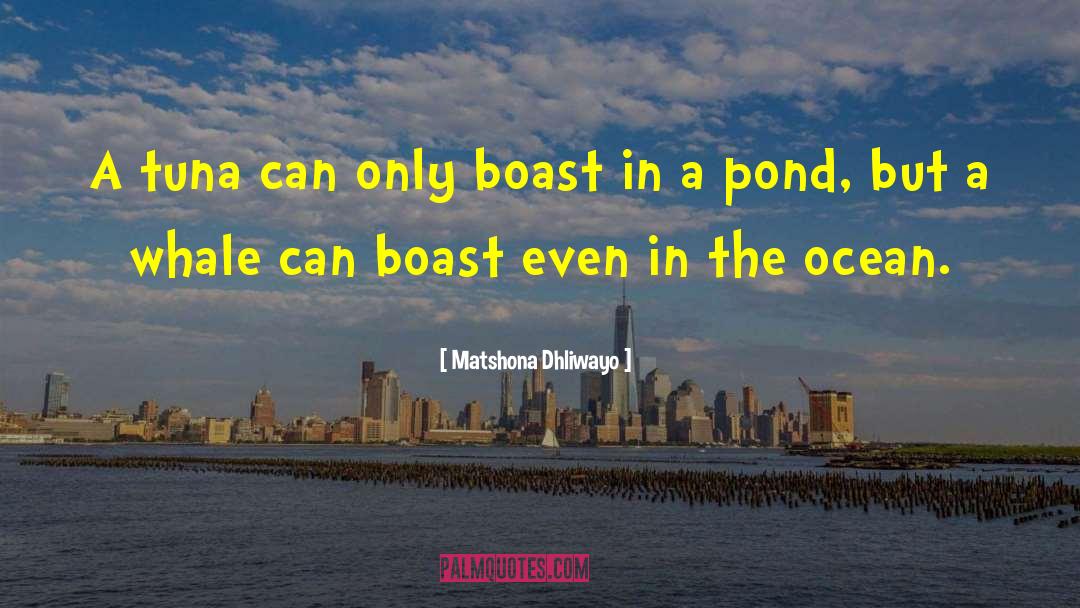 Indian Ocean quotes by Matshona Dhliwayo