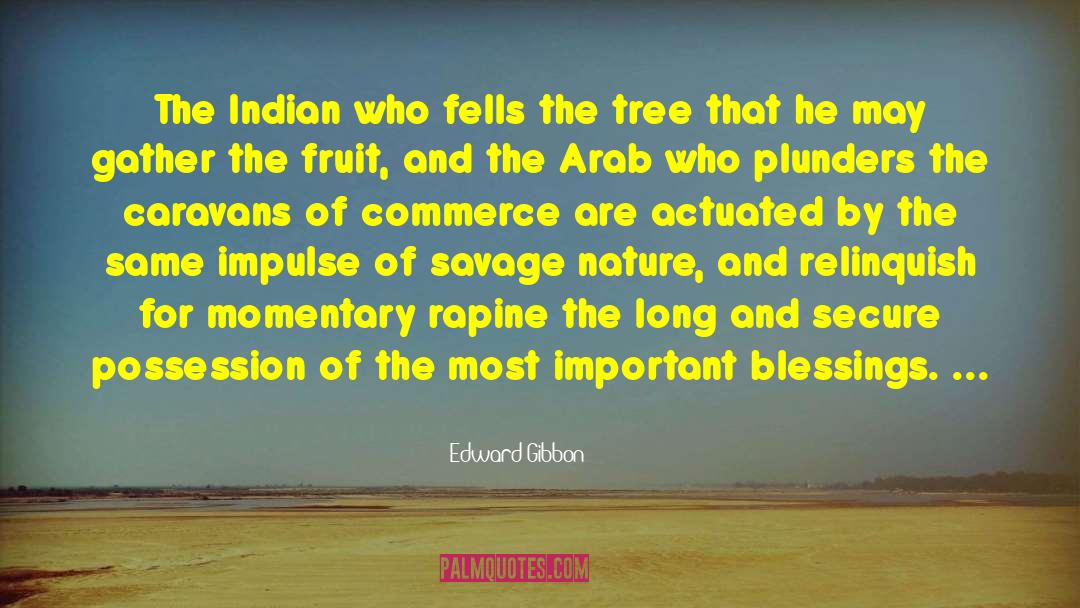 Indian Policymakers quotes by Edward Gibbon
