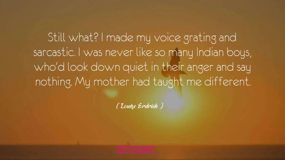 Indian Territory quotes by Louise Erdrich