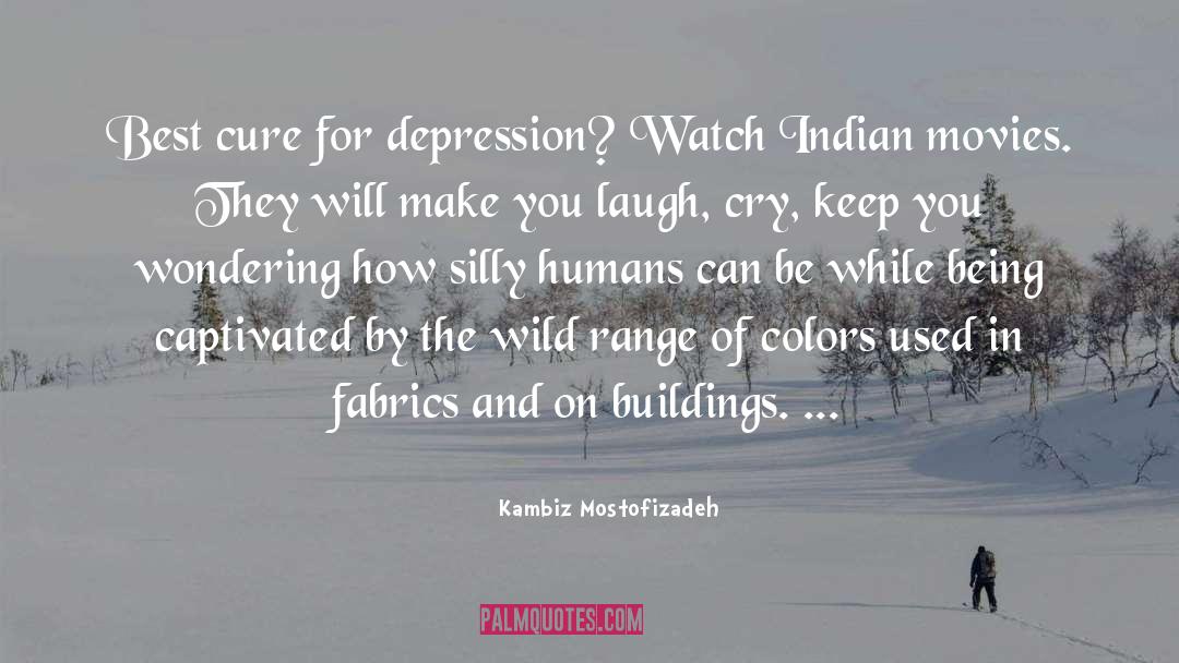 Indian Traveller quotes by Kambiz Mostofizadeh