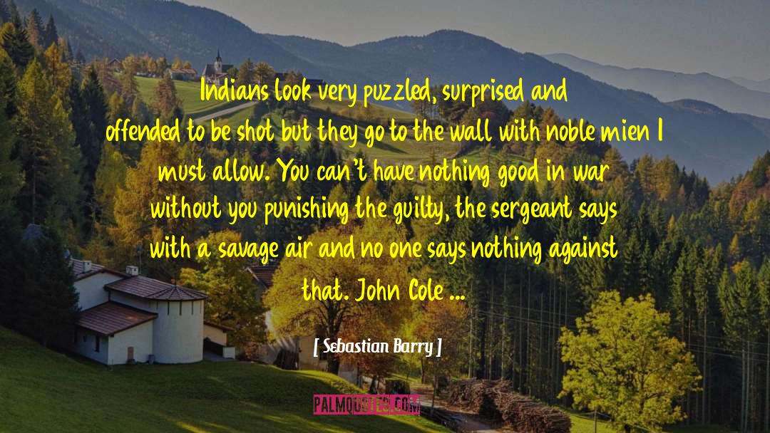 Indians Abroad quotes by Sebastian Barry