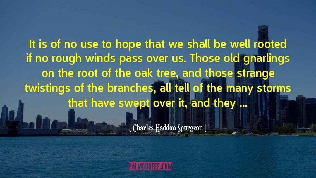 Indicators quotes by Charles Haddon Spurgeon