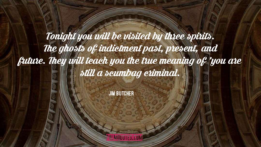 Indictment quotes by Jim Butcher