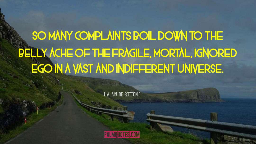 Indifferent Universe quotes by Alain De Botton