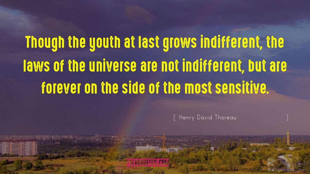 Indifferent Universe quotes by Henry David Thoreau