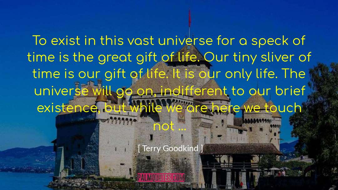 Indifferent Universe quotes by Terry Goodkind