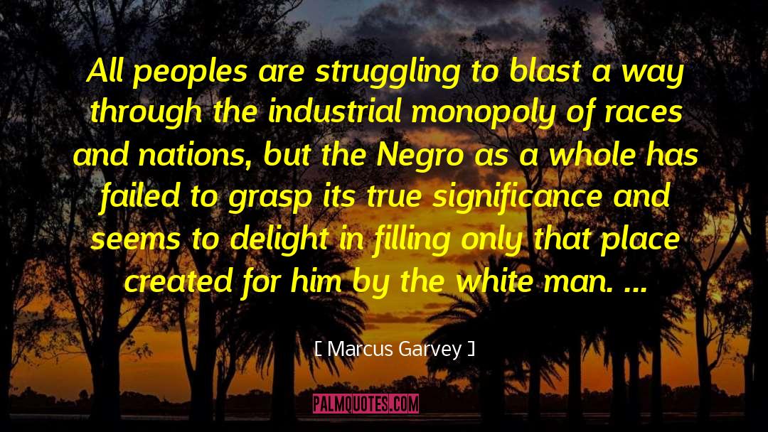 Indigenous Peoples quotes by Marcus Garvey