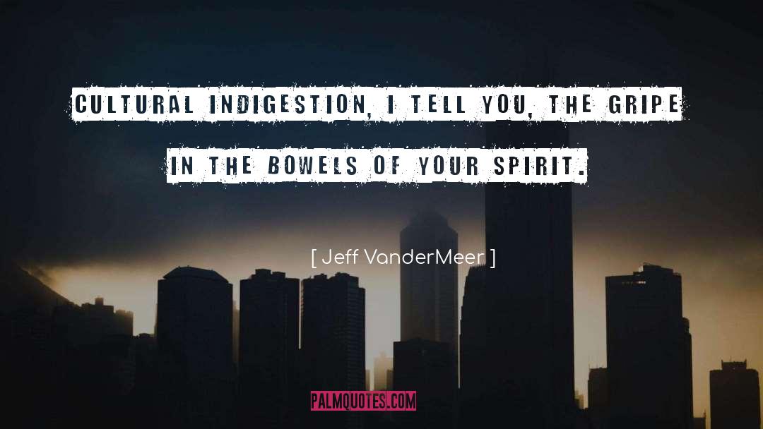Indigestion quotes by Jeff VanderMeer