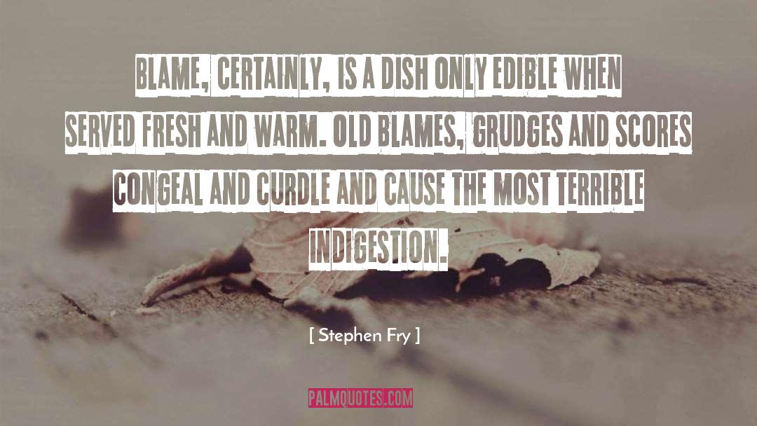 Indigestion quotes by Stephen Fry