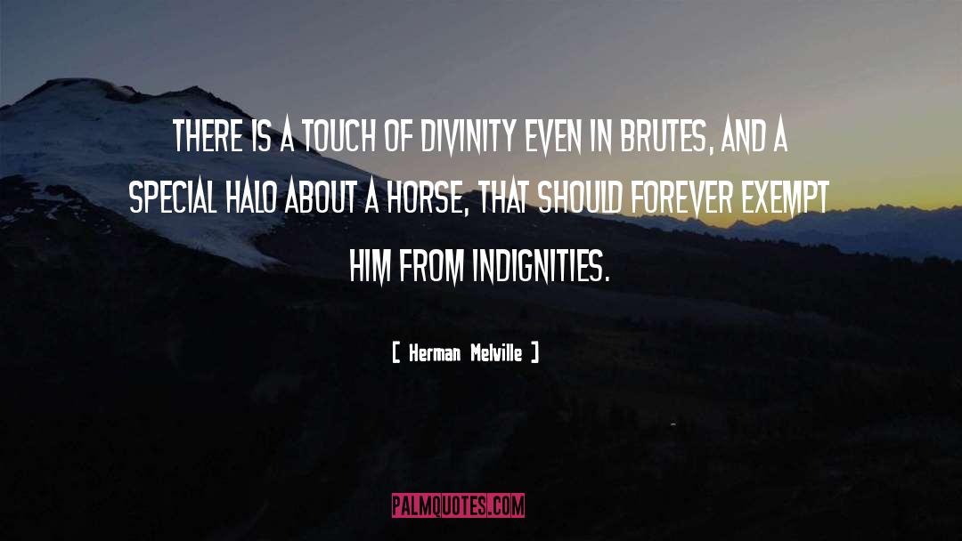 Indignities quotes by Herman Melville