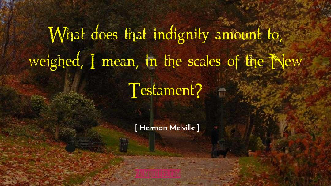 Indignity quotes by Herman Melville