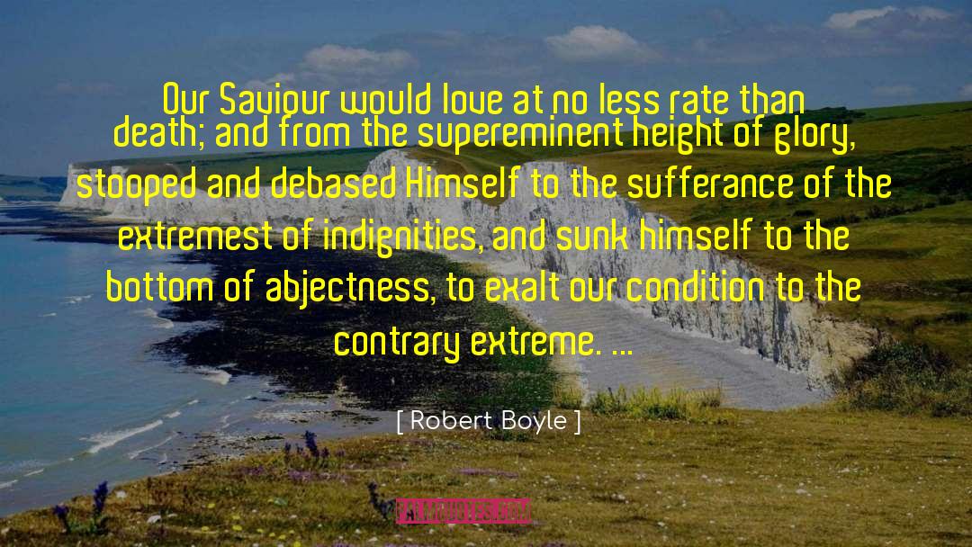Indignity quotes by Robert Boyle