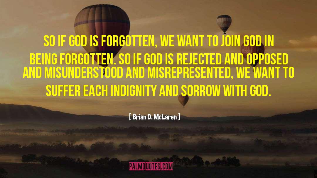 Indignity quotes by Brian D. McLaren