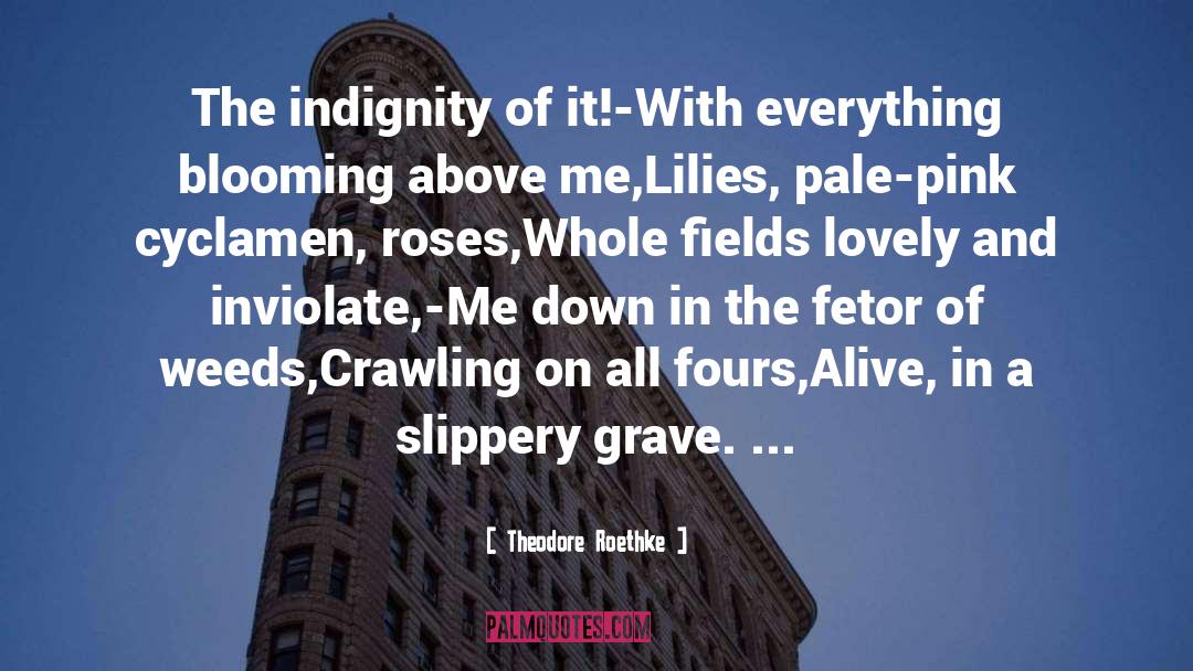 Indignity quotes by Theodore Roethke