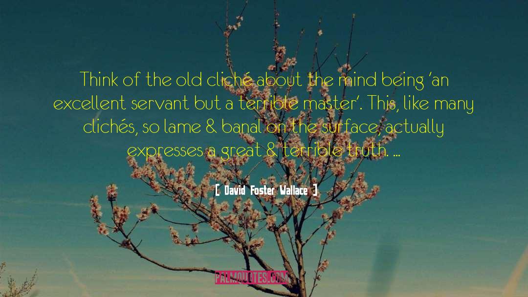 Indigo Adults quotes by David Foster Wallace